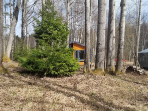 База Отдыха Ромашка Клуб