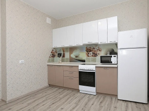 Апартаменты на улице Петра Подзолкова 3И