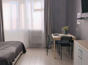 Апартаменты Династия на Петра Подзолкова 3А