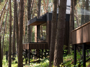 Гостевой дом Wish Home Лесной Берег (Виш Хоум)