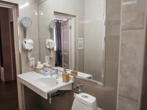 Отель Шишка