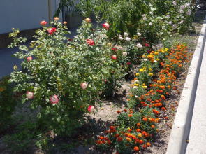 Гостевой Дом на Победе