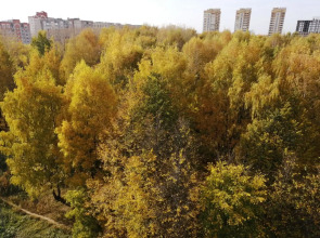 Апартаменты Home Away From Home