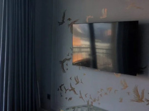 Жилые помещения Aprt24