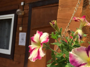 База отдыха Ольхон