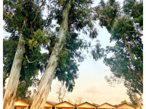 База отдыха Набережная Виктория