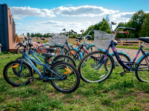 Глэмпинг Носороги