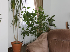 Гостевой дом Феникс