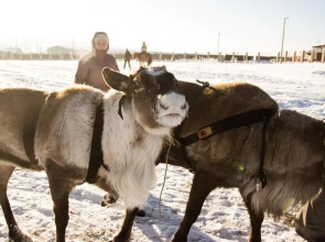 Отель Загородный клуб