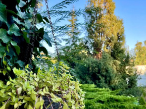 Гостевой дом с садом для двоих