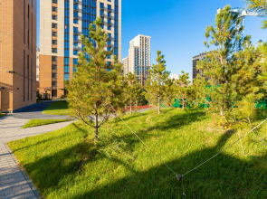 Апартаменты Бизнес класса на Заельцовской