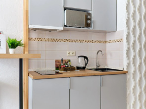 Апартаменты Rush in aparts  в самом сердце Казани Своя мини-кухня wifi  бесконтактное заселение