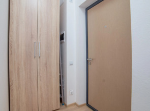 Апартаменты Сурикова 63