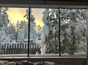 Частный дом у озера с террасой Сосновый дом