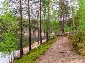 База отдыха Загородный клуб Радужный лес