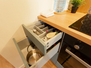 Апартаменты 2-х комнатные в экостиле в центре