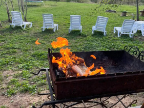 Частный дом Веселые гуси 4