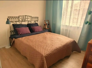 Квартира в центре Нижнего Новгорода с видом на Кремль