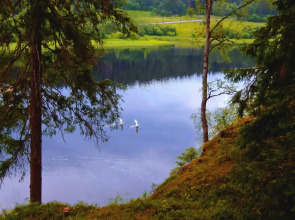 Шале у Озера