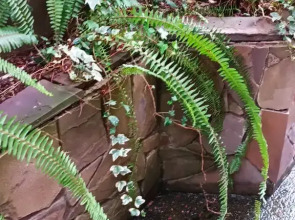 Гостевой дом Тенистый Берег