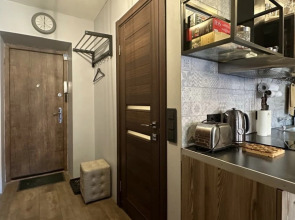 Квартира в центре Loft