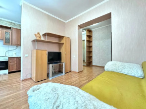 Квартира трехкомнатная в центре на Весенней