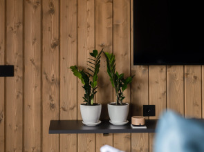 Частный дом Рябина