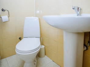 Апартаменты Pavel&Olga Wonderful Двухъярусные в самом центре Пскова