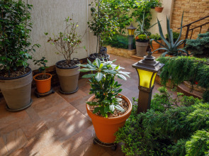 Гостевой дом Лорис