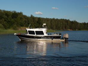 Гостевой дом Хутор Пукинниеми