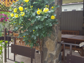 Гостевой дом Замок на Земляничной