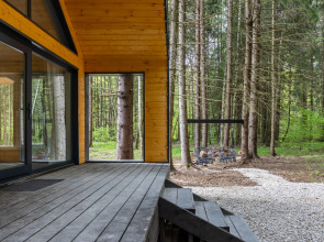 Частный дом в еловом лесу