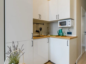 Апартаменты Проспект Вернадского 41с1 (416)