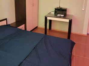 Гостевой дом Main Room Chesnokovka