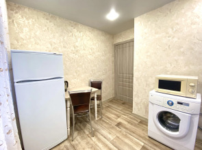 Квартира Светлая 1-к рядом с Сангородком и поликлиникой