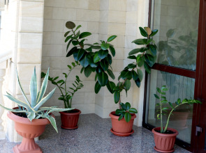 Отель Кристалл