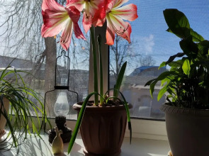 Отель Чемодан