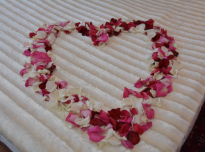 Гостевой Домик