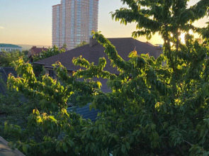 Гостевой дом Дом с лилиями