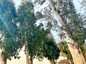 База отдыха Набережная Виктория