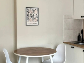 Апартаменты Студия на Романовской