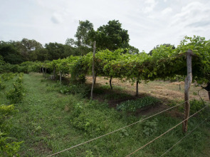 Отель Nilaveli Beach