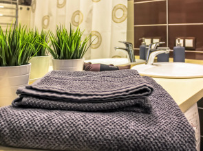 Апартаменты Guesthouse Премиум