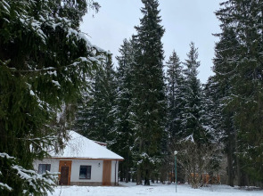 Отель Ruza Forest