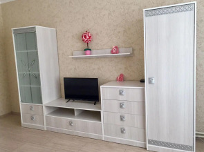 Апартаменты Однокомнатные на Дуки, 9 этаж, Лошадки