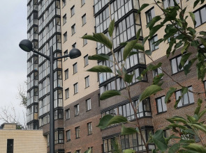 Квартира Изюминка Нового Города