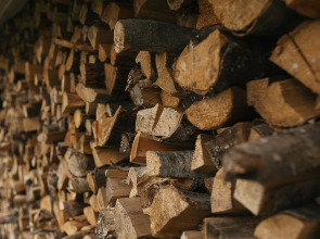 База Отдыха Forrest Lodge Karelia