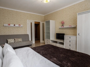 Апартаменты Однокомнатные на Дуки, 9 этаж, Лошадки