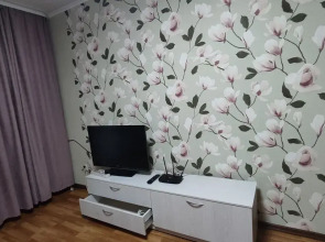 Квартира на Проспекте Карла Маркса 208