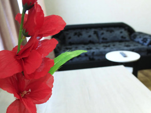 Апартаменты Добрые Сутки на Советской 35-1